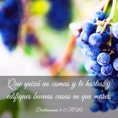 Picture 03 - Deuteronomio 8:12 RVA - Que quizá no comas y te hartes, y edifiques - Bible Verse Picture