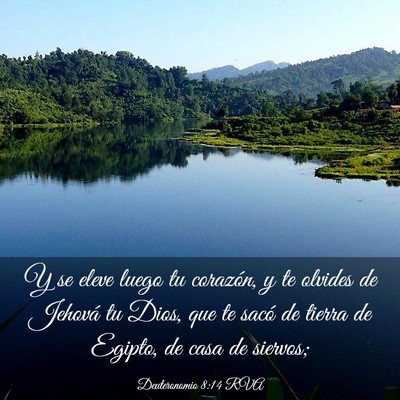 Picture 03 - Deuteronomio 8:14 RVA - Y se eleve luego tu corazón, y te olvides de - Bible Verse Picture