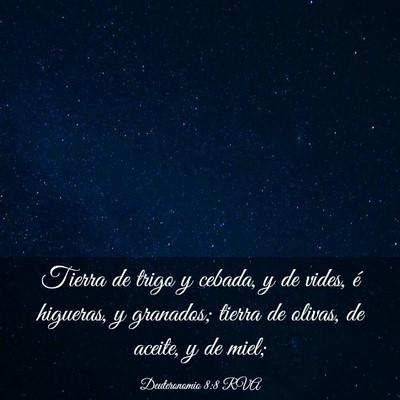 Picture 03 - Deuteronomio 8:8 RVA - Tierra de trigo y cebada, y de vides, é - Bible Verse Picture