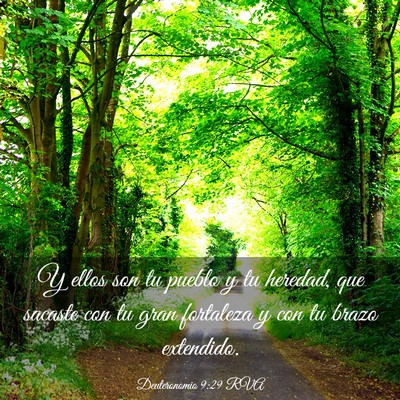 Picture 03 - Deuteronomio 9:29 RVA - Y ellos son tu pueblo y tu heredad, que sacaste - Bible Verse Picture