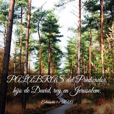 Picture 03 - Eclesiastés 1:1 RVA - PALABRAS del Predicador, hijo de David, rey en - Bible Verse Picture