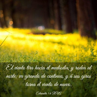 Picture 03 - Eclesiastés 1:6 RVA - El viento tira hacia el mediodía, y rodea al - Bible Verse Picture
