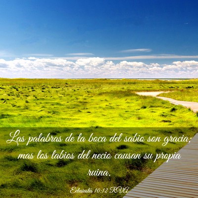Picture 03 - Eclesiastés 10:12 RVA - Las palabras de la boca del sabio son gracia; mas - Bible Verse Picture
