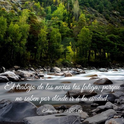Picture 03 - Eclesiastés 10:15 RVA - El trabajo de los necios los fatiga; porque no - Bible Verse Picture