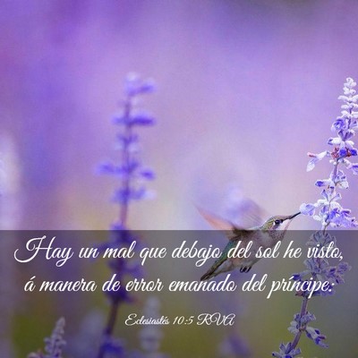Picture 03 - Eclesiastés 10:5 RVA - Hay un mal que debajo del sol he visto, á manera - Bible Verse Picture