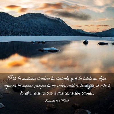 Picture 03 - Eclesiastés 11:6 RVA - Por la mañana siembra tu simiente, y á la tarde - Bible Verse Picture