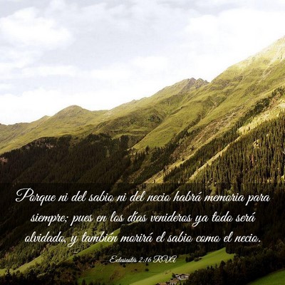 Picture 03 - Eclesiastés 2:16 RVA - Porque ni del sabio ni del necio habrá memoria - Bible Verse Picture