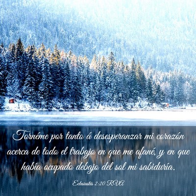 Picture 03 - Eclesiastés 2:20 RVA - Tornéme por tanto á desesperanzar mi corazón - Bible Verse Picture