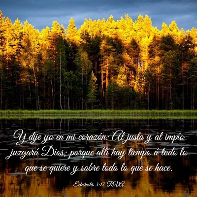 Picture 03 - Eclesiastés 3:17 RVA - Y dije yo en mi corazón: Al justo y al impío - Bible Verse Picture