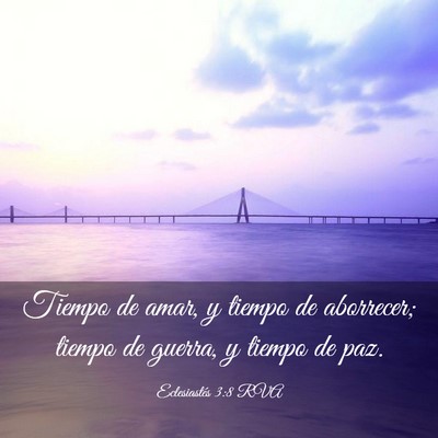 Picture 03 - Eclesiastés 3:8 RVA - Tiempo de amar, y tiempo de aborrecer; tiempo de - Bible Verse Picture
