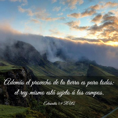 Picture 03 - Eclesiastés 5:9 RVA - Además el provecho de la tierra es para todos: - Bible Verse Picture