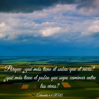 Picture 03 - Eclesiastés 6:8 RVA - Porque ¿qué más tiene el sabio que el necio? - Bible Verse Picture