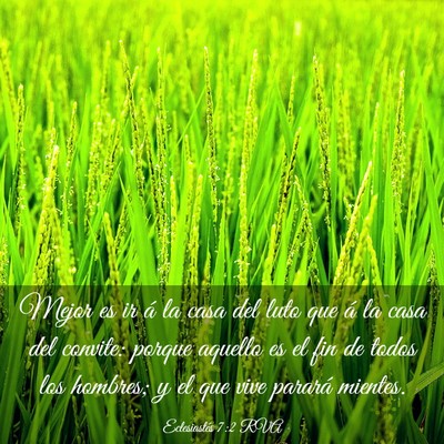 Picture 03 - Eclesiastés 7:2 RVA - Mejor es ir á la casa del luto que á la casa - Bible Verse Picture