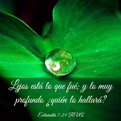 Picture 03 - Eclesiastés 7:24 RVA - Lejos está lo que fué; y lo muy profundo - Bible Verse Picture