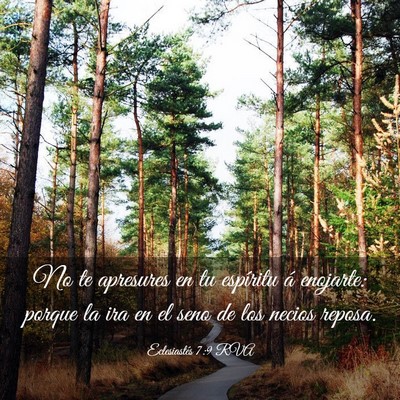 Picture 03 - Eclesiastés 7:9 RVA - No te apresures en tu espíritu á enojarte: - Bible Verse Picture