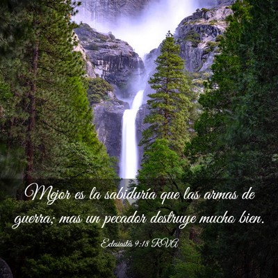 Picture 03 - Eclesiastés 9:18 RVA - Mejor es la sabiduría que las armas de guerra; - Bible Verse Picture