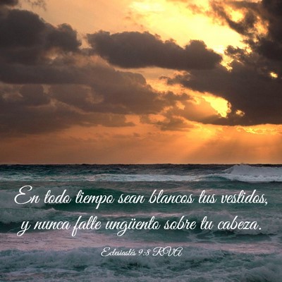 Picture 03 - Eclesiastés 9:8 RVA - En todo tiempo sean blancos tus vestidos, y nunca - Bible Verse Picture