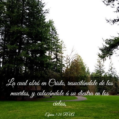 Picture 03 - Efesios 1:20 RVA - La cual obró en Cristo, resucitándole de los - Bible Verse Picture