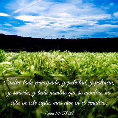 Picture 03 - Efesios 1:21 RVA - Sobre todo principado, y potestad, y potencia, y - Bible Verse Picture