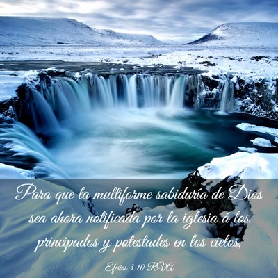 Picture 03 - Efesios 3:10 RVA - Para que la multiforme sabiduría de Dios sea - Bible Verse Picture