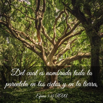 Picture 03 - Efesios 3:15 RVA - Del cual es nombrada toda la parentela en los - Bible Verse Picture