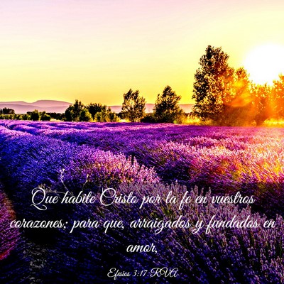 Picture 03 - Efesios 3:17 RVA - Que habite Cristo por la fe en vuestros - Bible Verse Picture