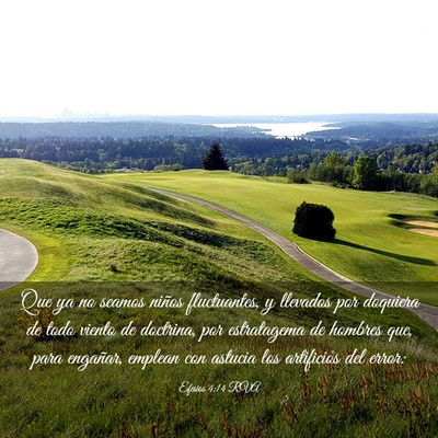 Picture 03 - Efesios 4:14 RVA - Que ya no seamos niños fluctuantes, y llevados - Bible Verse Picture