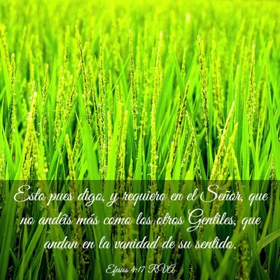 Picture 03 - Efesios 4:17 RVA - Esto pues digo, y requiero en el Señor, que no - Bible Verse Picture