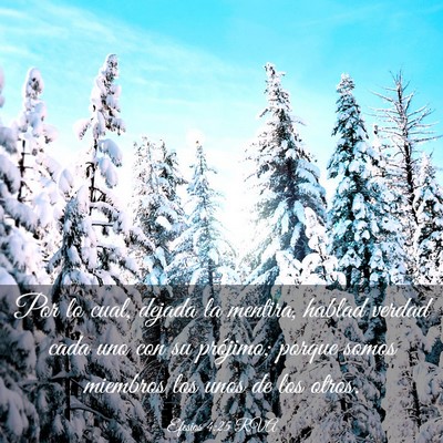 Picture 03 - Efesios 4:25 RVA - Por lo cual, dejada la mentira, hablad verdad - Bible Verse Picture