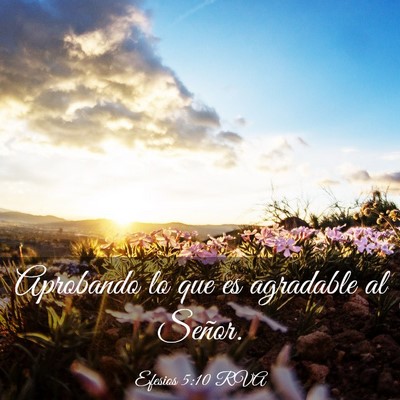 Picture 03 - Efesios 5:10 RVA - Aprobando lo que es agradable al - Bible Verse Picture