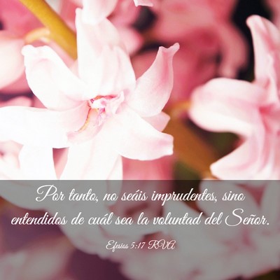 Picture 03 - Efesios 5:17 RVA - Por tanto, no seáis imprudentes, sino entendidos - Bible Verse Picture