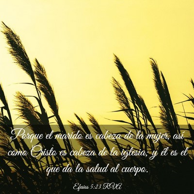 Picture 03 - Efesios 5:23 RVA - Porque el marido es cabeza de la mujer, así como - Bible Verse Picture