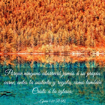 Picture 03 - Efesios 5:29 RVA - Porque ninguno aborreció jamás á su propia - Bible Verse Picture
