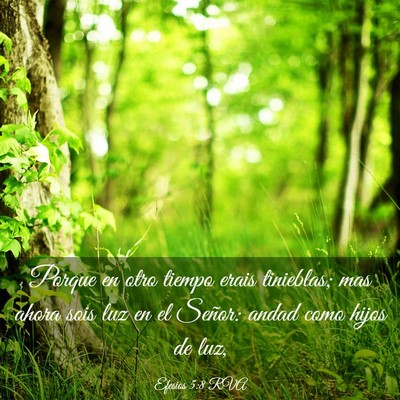 Picture 03 - Efesios 5:8 RVA - Porque en otro tiempo erais tinieblas; mas ahora - Bible Verse Picture