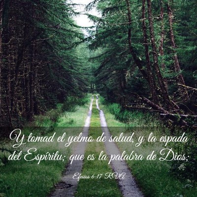 Picture 03 - Efesios 6:17 RVA - Y tomad el yelmo de salud, y la espada del - Bible Verse Picture