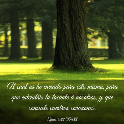 Picture 03 - Efesios 6:22 RVA - Al cual os he enviado para esto mismo, para que - Bible Verse Picture