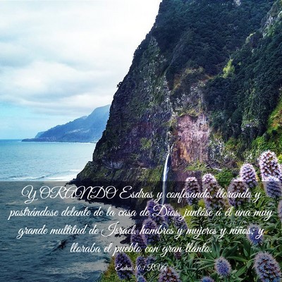Picture 03 - Esdras 10:1 RVA - Y ORANDO Esdras y confesando, llorando y - Bible Verse Picture