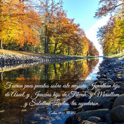 Picture 03 - Esdras 10:15 RVA - Fueron pues puestos sobre este negocio Jonathán - Bible Verse Picture