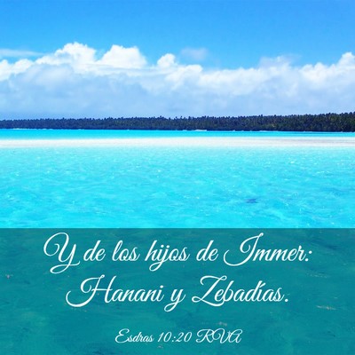 Picture 03 - Esdras 10:20 RVA - Y de los hijos de Immer: Hanani y - Bible Verse Picture