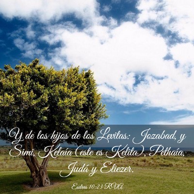Picture 03 - Esdras 10:23 RVA - Y de los hijos de los Levitas: Jozabad, y Simi, - Bible Verse Picture