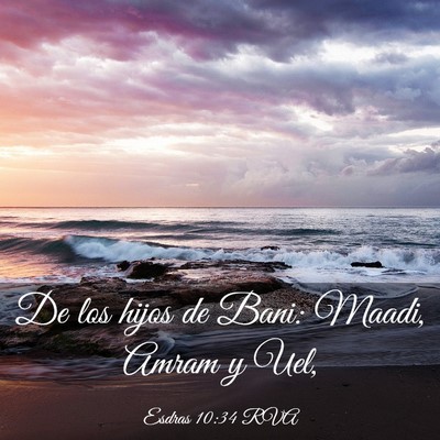 Picture 03 - Esdras 10:34 RVA - De los hijos de Bani: Maadi, Amram y - Bible Verse Picture