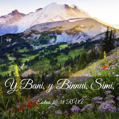 Picture 03 - Esdras 10:38 RVA - Y Bani, y Binnui, - Bible Verse Picture