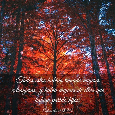 Picture 03 - Esdras 10:44 RVA - Todos estos habían tomado mujeres extranjeras; y - Bible Verse Picture