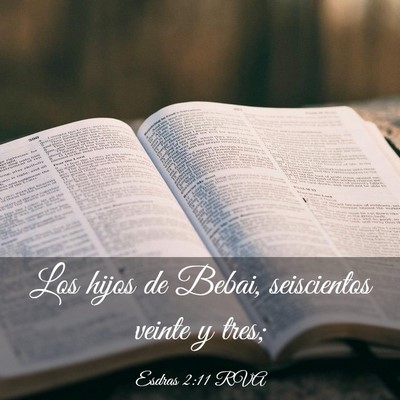 Picture 03 - Esdras 2:11 RVA - Los hijos de Bebai, seiscientos veinte y - Bible Verse Picture