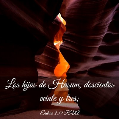 Picture 03 - Esdras 2:19 RVA - Los hijos de Hasum, doscientos veinte y - Bible Verse Picture