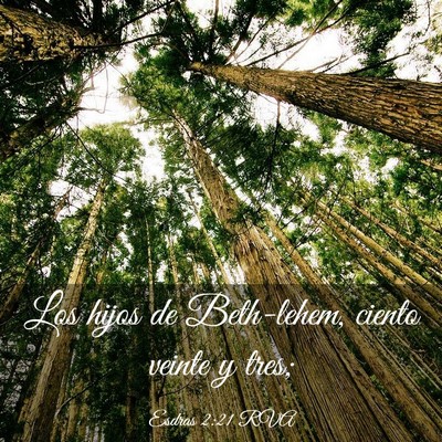 Picture 03 - Esdras 2:21 RVA - Los hijos de Beth-lehem, ciento veinte y - Bible Verse Picture
