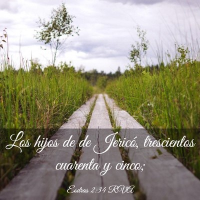 Picture 03 - Esdras 2:34 RVA - Los hijos de de Jericó, trescientos cuarenta y - Bible Verse Picture