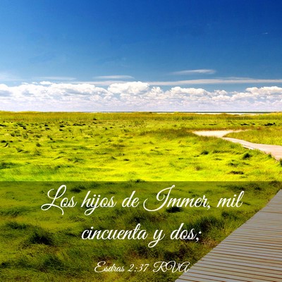 Picture 03 - Esdras 2:37 RVA - Los hijos de Immer, mil cincuenta y - Bible Verse Picture