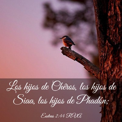 Picture 03 - Esdras 2:44 RVA - Los hijos de Chêros, los hijos de Siaa, los - Bible Verse Picture