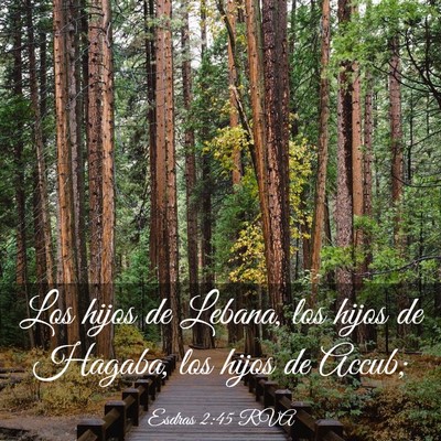 Picture 03 - Esdras 2:45 RVA - Los hijos de Lebana, los hijos de Hagaba, los - Bible Verse Picture
